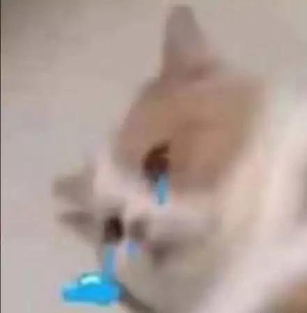 手机QQ极速版停更_QQ纯净版替代方案_手机qq我的电脑 下载位置