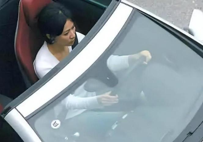 刘嘉玲被绑视频完整版迅雷bt下载地址_刘嘉玲被绑与梁朝伟无子真相_刘嘉玲被绑事件真相